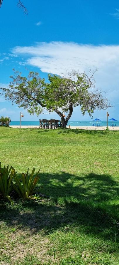CASA DELLA, Bangalô Coqueiro, 40 m2, Vista Mar Luis Correia Extérieur photo